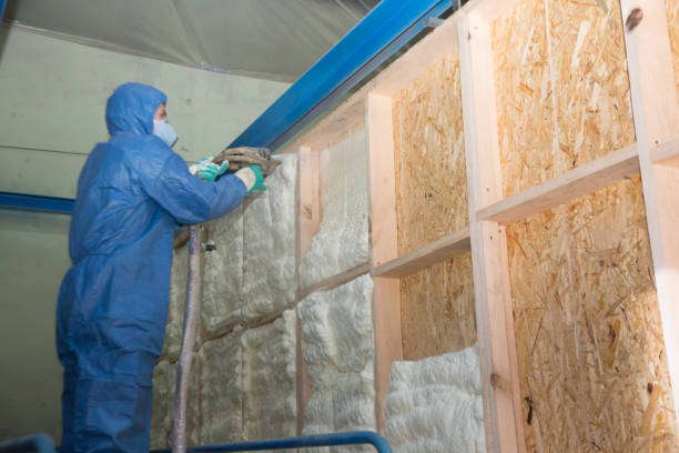 Best Insulation Replacement Services  in Ambler, PA