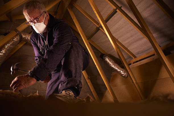 Best Wall Insulation Contractor  in Ambler, PA